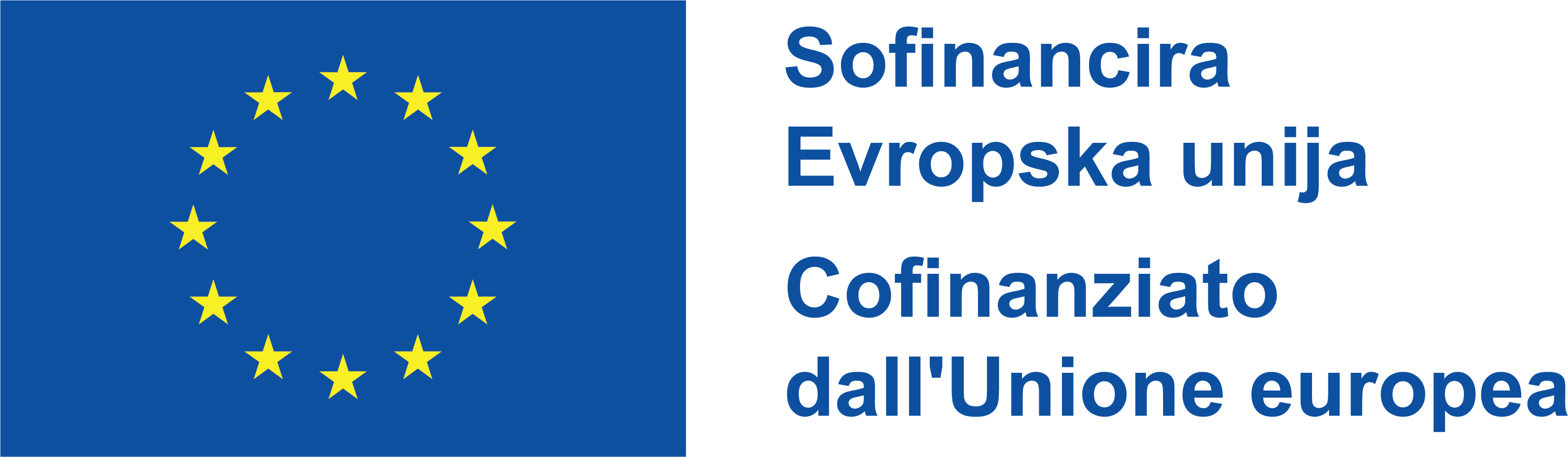 EU logo